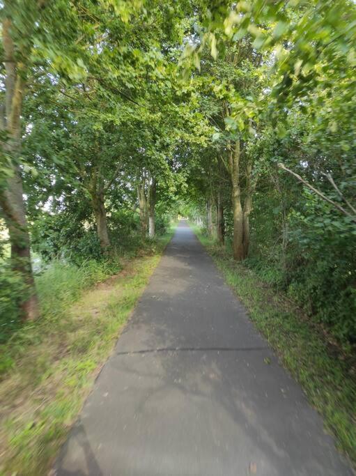 Storchennest - Ferienwohnung Am Storchenradweg Ketzür エクステリア 写真