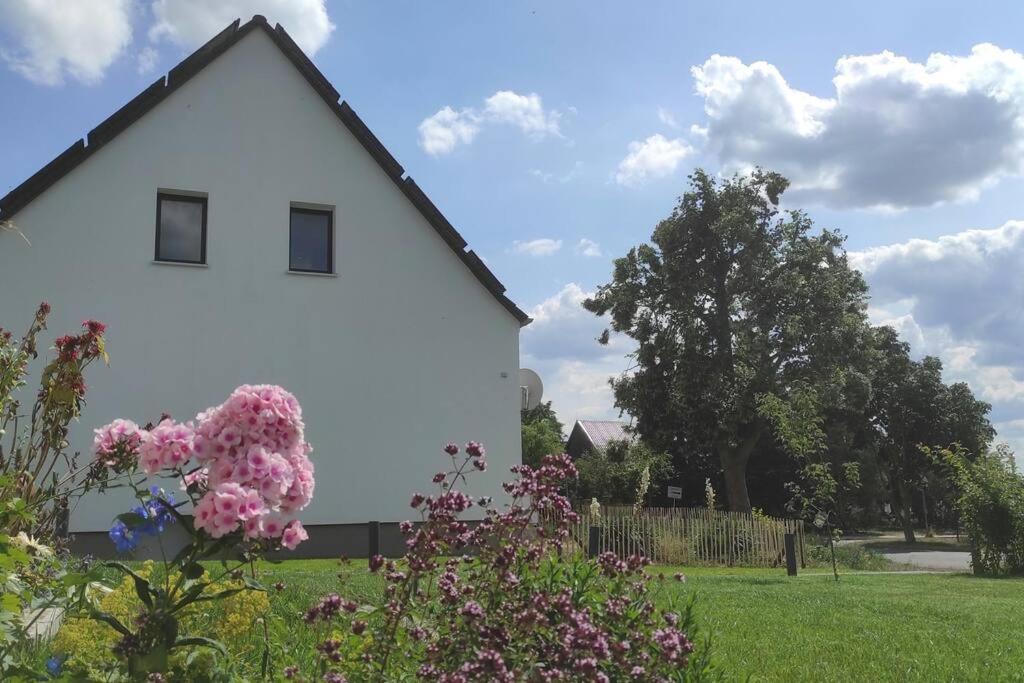 Storchennest - Ferienwohnung Am Storchenradweg Ketzür エクステリア 写真